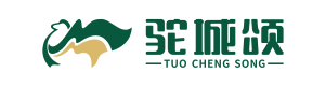 驼城颂